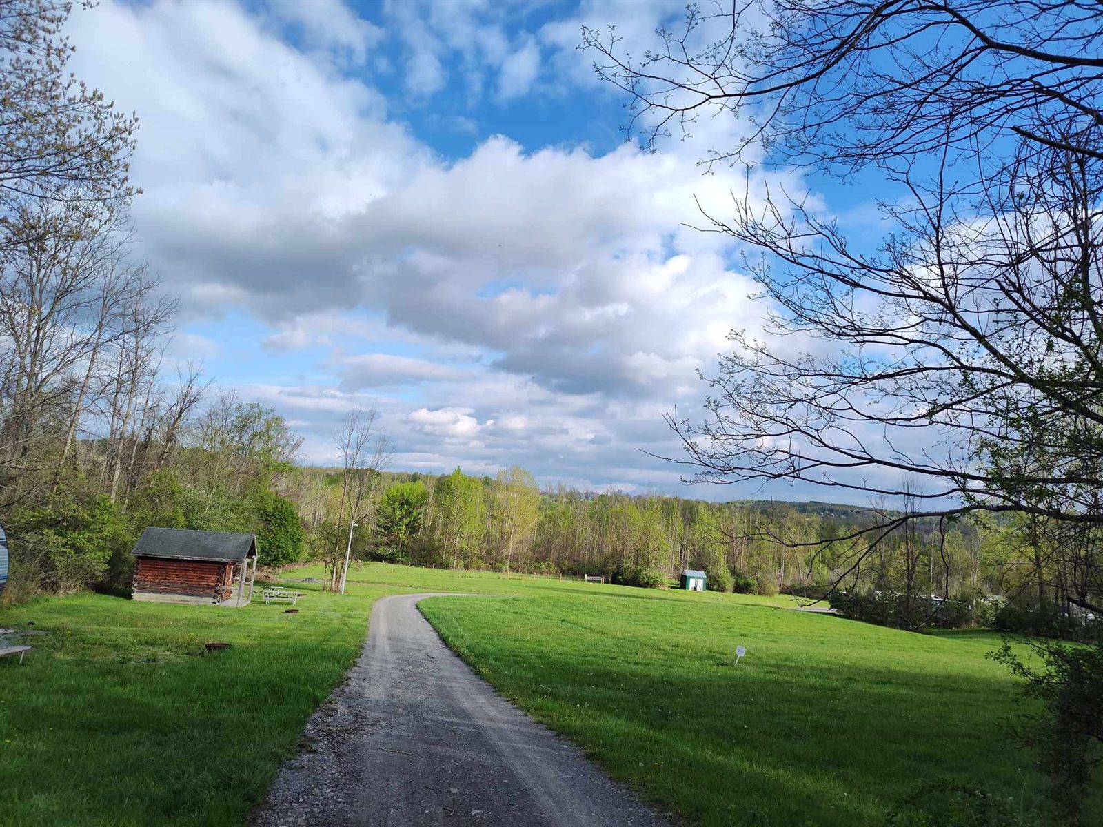 Open grassy camping area surrounded by trees at Flint Creek
